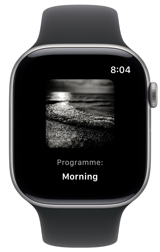 Programme App Apple Watch Image